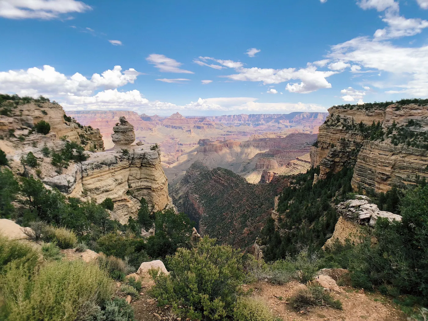 Grand Canyon viewpoint with pine trees and clouds